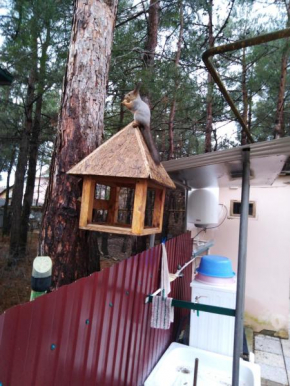Guesthouse U Dyadi Fedora